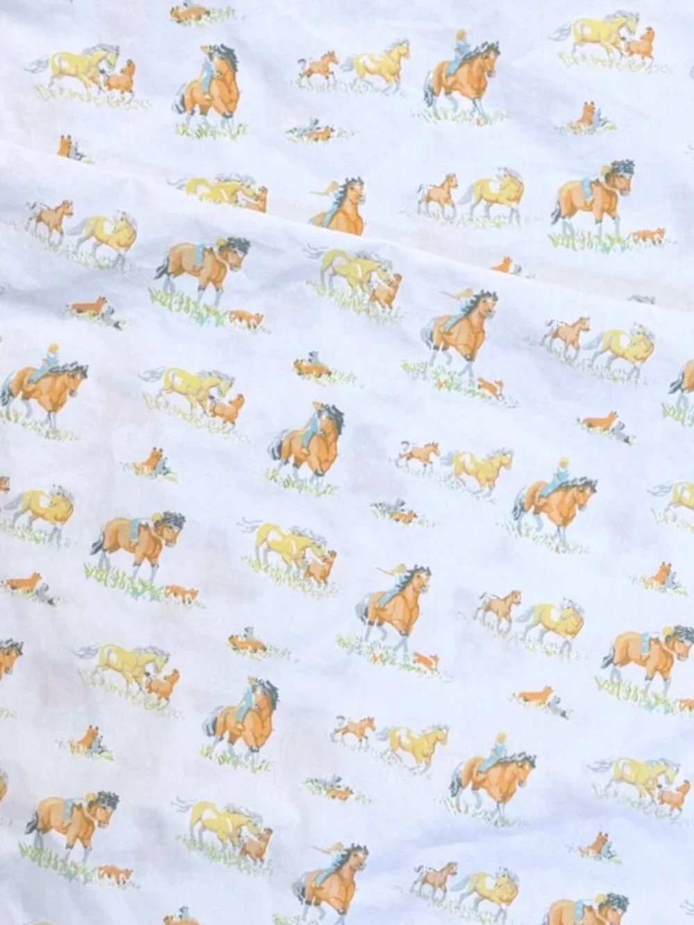 Wildkin Horse Pony Pillowcase Set of 2 Western Cowgirl Y2K Bedding